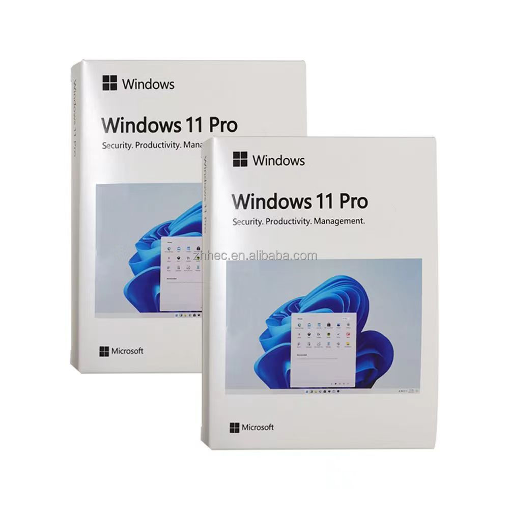 MS WINDOWS 11 PRO 32-64 BIT TR KUTU USB HAV-00159